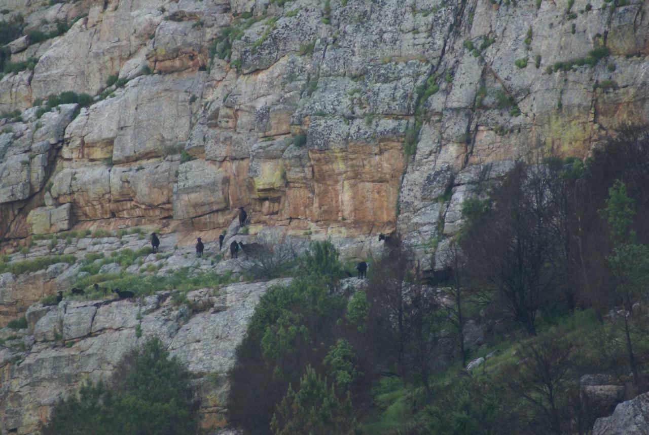 Monte Do Pego Βίλα Arneiro  Εξωτερικό φωτογραφία