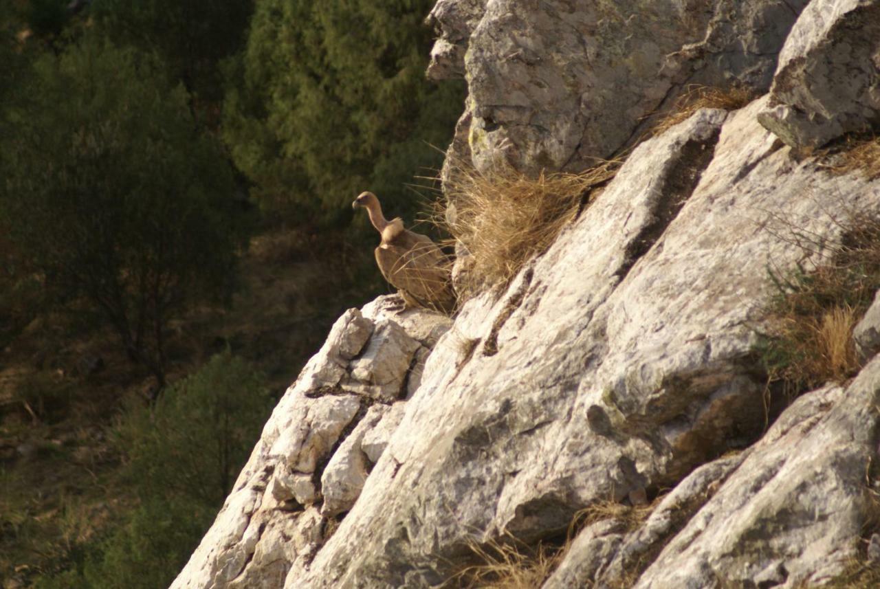 Monte Do Pego Βίλα Arneiro  Εξωτερικό φωτογραφία