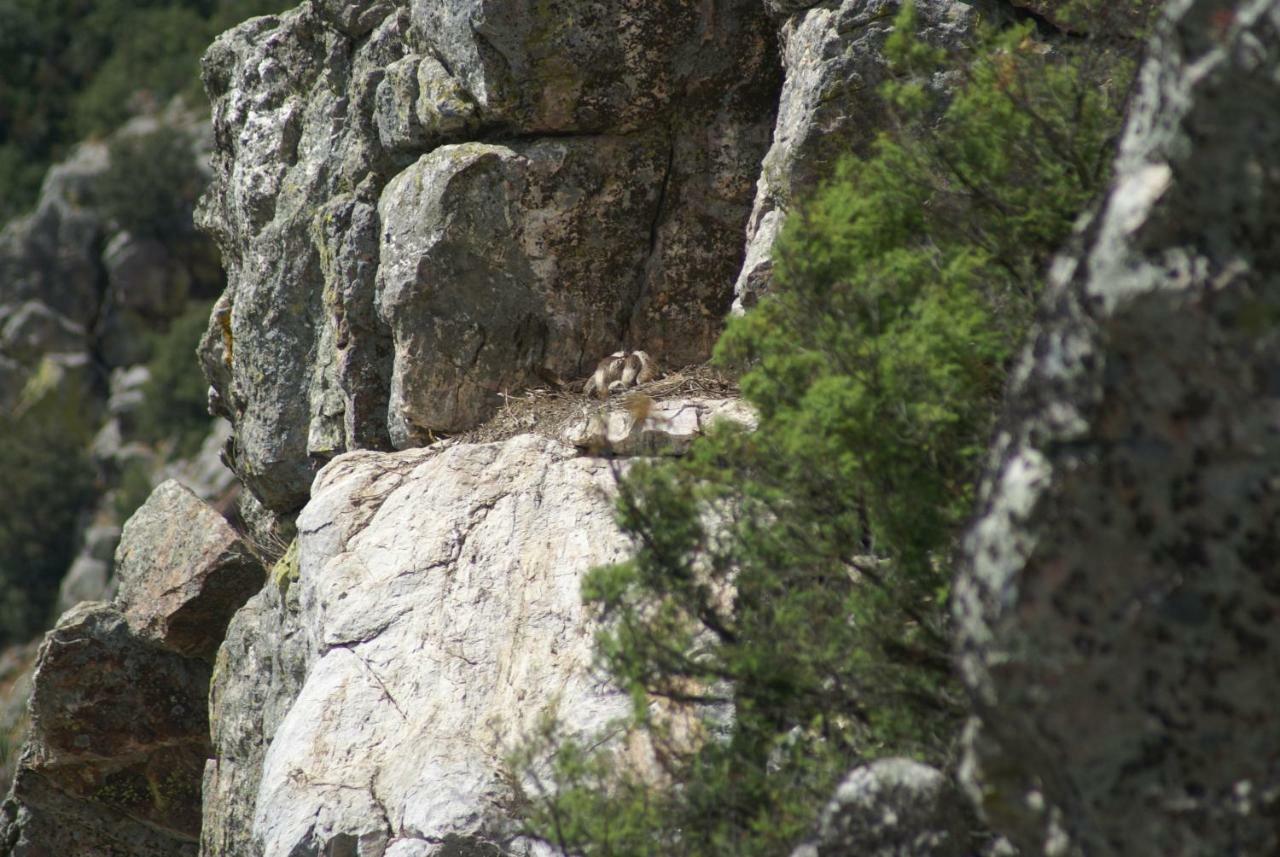 Monte Do Pego Βίλα Arneiro  Εξωτερικό φωτογραφία