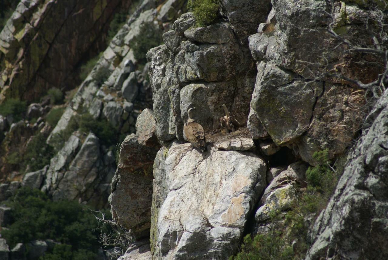 Monte Do Pego Βίλα Arneiro  Εξωτερικό φωτογραφία