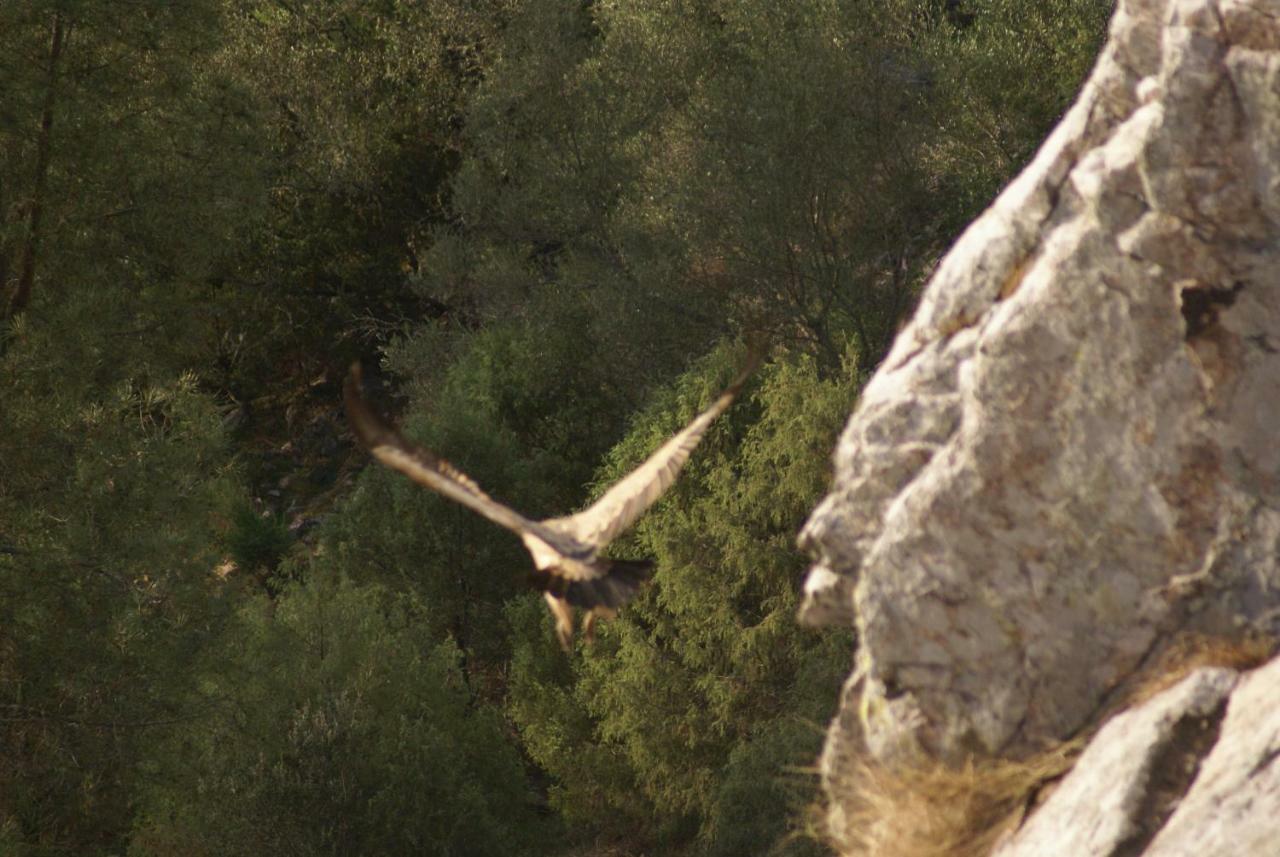 Monte Do Pego Βίλα Arneiro  Εξωτερικό φωτογραφία